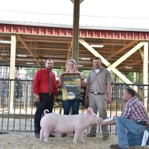 Meet your Posher, Mandy